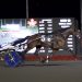 Periculum soars to $600,000 Maple Leaf Trot triumph