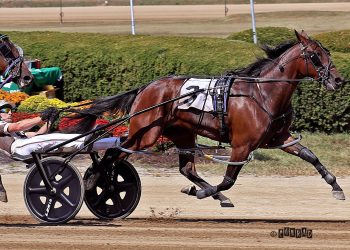Catch The Fire filly captures $66,800 Ohio Breeders Championship