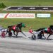P.E.I. Colt Stakes Saturday doubleheader