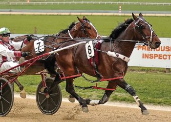 Republican Party goes one better