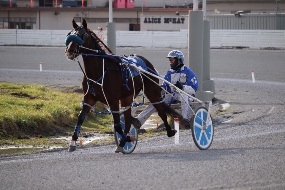 Top West Coast trainer reaches 1,000 wins