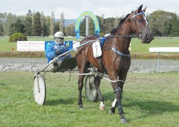 Nathan Purdon talks Oamaru Juvenile Stakes