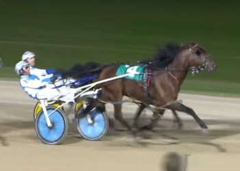 Dancin Lou offspring win Prospect Series debuts