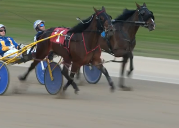 Cheese Party fastest in Prospect Series