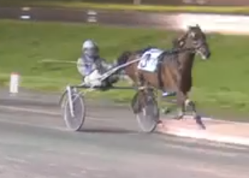 Open season at Fraser for B On The Hunt