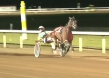 Grand slam for Stash The Cookies