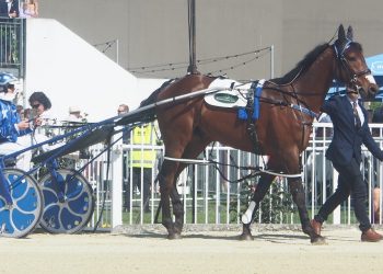 New Brighton Cup good starting point for Sherlock