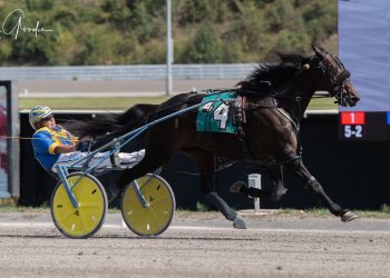 Steve “You’re Never Too” Oldford wins GLADA trot