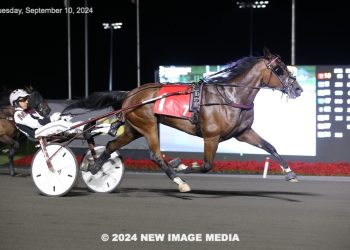 Valentine Blue Chip back to success in Grassroots