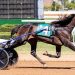 Woman Of Passion slays Date Night Hanover in KYSS