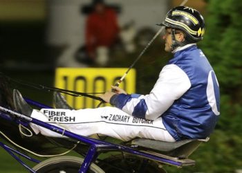 Zachary Butcher one to watch at Alexandra Park