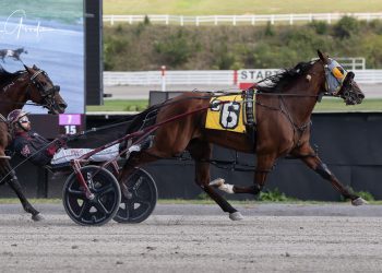 A fast act in Meadows Open