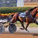 Top pacers to battle in Progress Pace elim 1 Perfect drive to win $525,000 Little Brown Jug