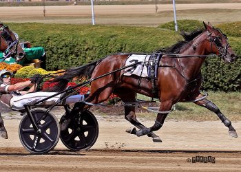 Catch The Fire filly to bring the heat in $125,000 Courageous Lady