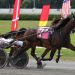 Champions crowned in NY Sire Stakes trotting finals 1