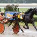 Secret Agent Man storms through slop for Bluegrass Win 3