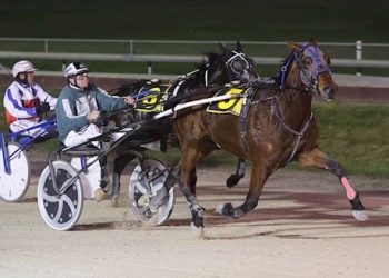 Bidding on five Lot auction ends tonight