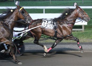 All the way for Chimichurri N