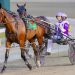 Steno gets dream draw in Gr3 The Schrader