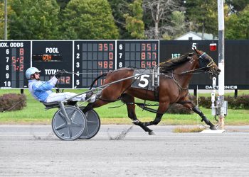 Saratoga Open goes again to New Zealander