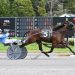Saratoga Open goes again to New Zealander