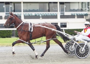 Douglas takes four to Central Southland