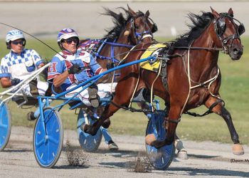 Badgirl Bridgette trying to extend streak in Lady Slipper