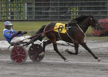 Badgirl Bridgette makes it six on shortened card