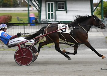 Five straight for Badgirl Bridgette in Lady Slipper