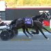 Big Box Hanover delivers third straight