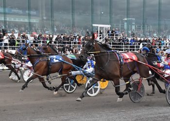 Special Saturday card for Quebec Fair Finals