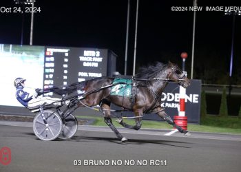 Harvest Series winner breaks maiden