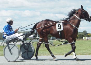 Captains Mistress returns to racing