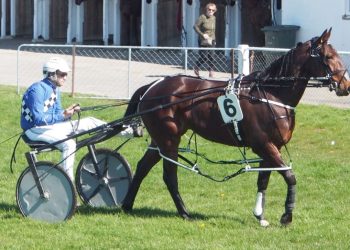 Defining day for Williamson