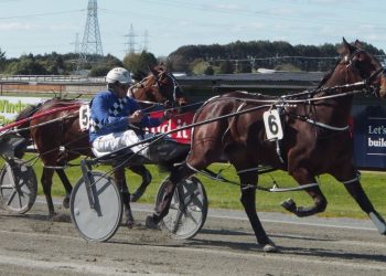 Williamson gets three