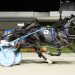Two for Burke in pacing Ohio Scarlet Championships