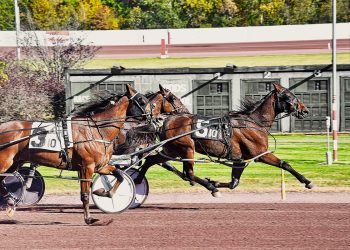 Congressional lays down law, Asteroid strikes