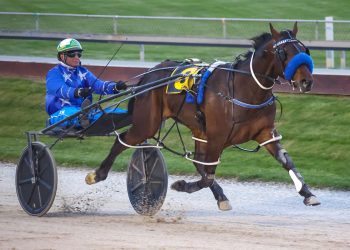 Harness Million attracts top fields