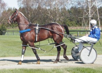 Dreams Are Free in Oamaru Cup