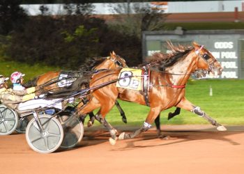 Pollack pleased with Elan Hanover purchase