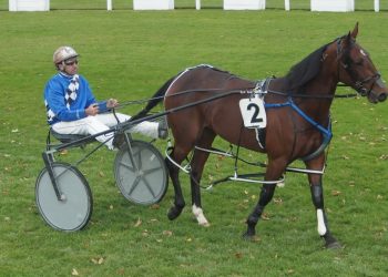 Defining day for Williamson