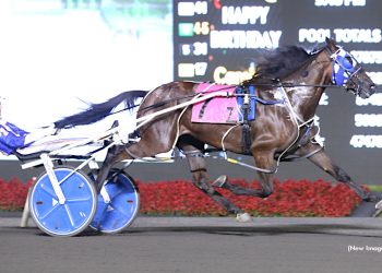Great match-ups in $102,000 Brian Paquet Memorial