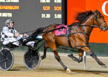 Leap To Fame’s big statement for NZ Cup