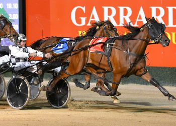 Air Express flies away with $150,000 Breeders final