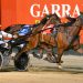 Air Express flies away with $150,000 Breeders final