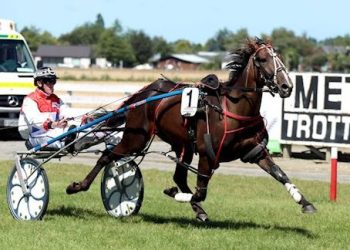 Nine lot auction now on gavelhouse.com