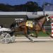 Lifetime marks fall in Ohio Fairs Championships
