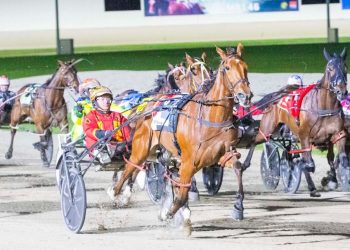 Weekly spotlight on breeding