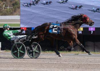 Life mark for Killer Instinct