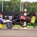 Grassroots winner takes overnight at Flamboro